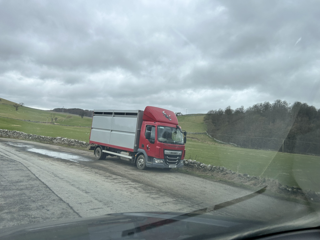 Red DAF livestock truck parked on a country road. The truck is facing the viewer and is parked beside a low stone wall. Beyond the wall is open pastureland, and a line of trees in the distance. The sky is overcast.