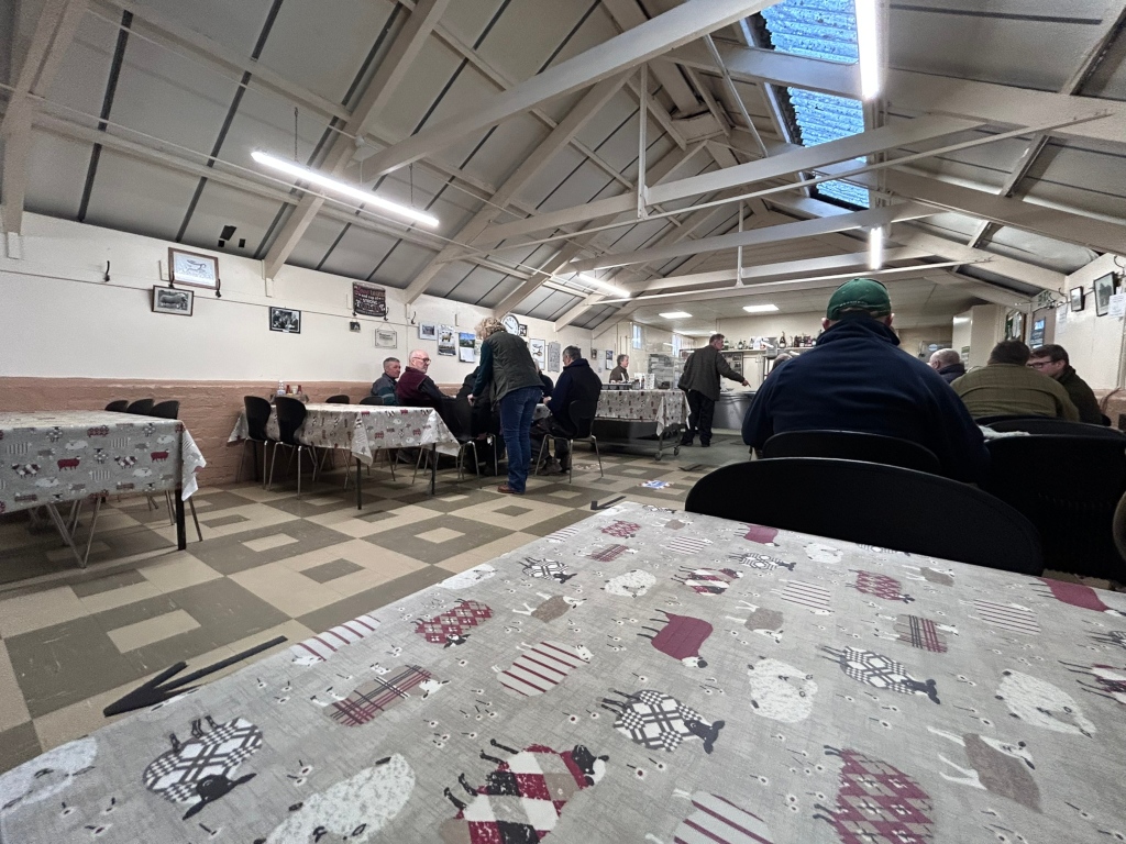 Interior of a large, high-ceiling-ed cafeteria. Several tables are set up, covered with tablecloths featuring a sheep design. A number of people are seated at the tables, appearing to be engaged in conversation. The room has a rustic, simple aesthetic with exposed beams and a light-coloured floor. The overall atmosphere seems casual and communal.