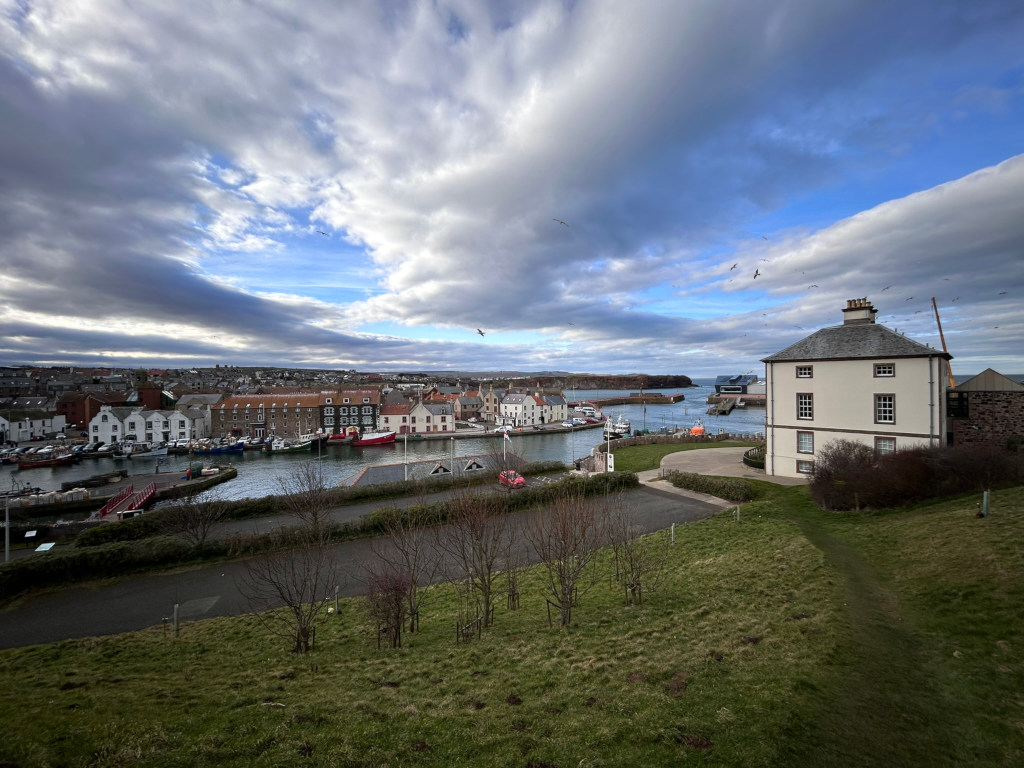High-angle, long shot of a picturesque harbour town nestled against a dramatic sky. The foreground is dominated by a grassy slope gently descending towards a paved pathway leading to the harbour. Small, young trees are planted in rows on the slope. In the middle ground, the harbour itself is visible, filled with various boats and ships of different sizes. The buildings lining the harbour are multi-storied, appearing to be primarily residential, with a mix of architectural styles and colours.