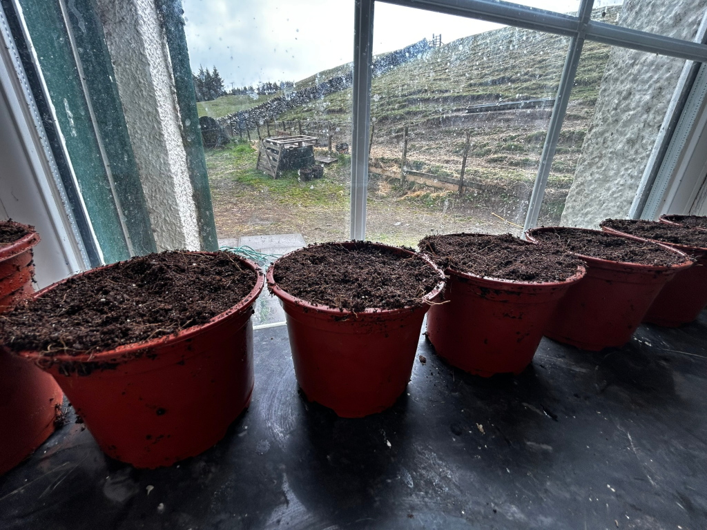 Row of six terracotta pots filled with dark brown soil, sitting on a windowsill. The pots are arranged in a slightly curved line. Outside the window, a view of a rural, hilly landscape is visible under a cloudy sky.