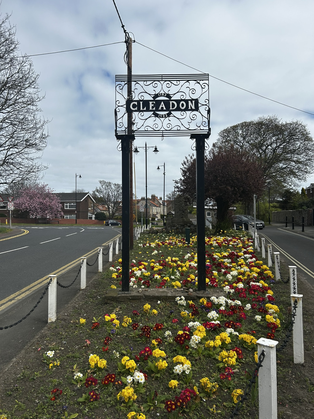 Sign welcoming visitors to Cleadon, a town established in 1782 and renovated in 1983. The sign is situated in a flower bed filled with colourful primroses. The background includes a quiet residential street, a few houses and trees. The overall mood is peaceful and welcoming.
