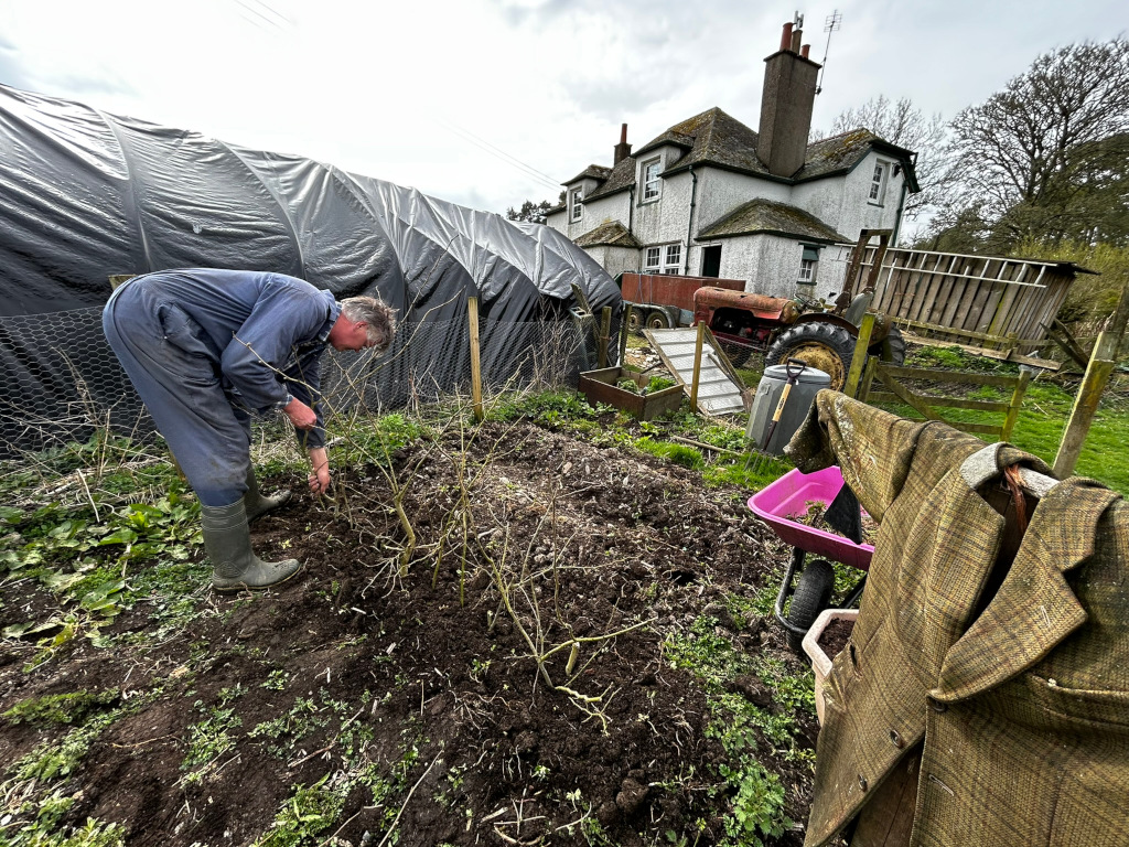 Charlie tending to a garden plot in front of a rustic white farmhouse. He is wearing work overalls and boots, and appears to be planting or weeding. A partially visible tractor and other farm equipment are in the background, along with a scarecrow wearing a tweed jacket.