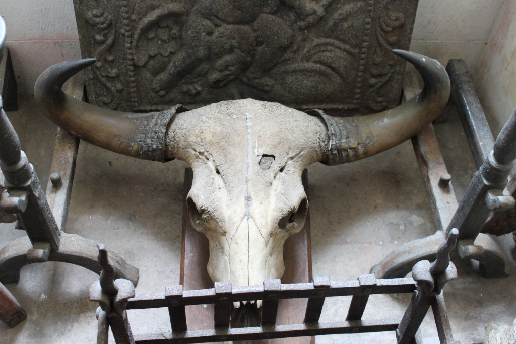 Bull skull with long horns, adorned with what appears to be metal bands around the base of the horns. The skull rests on a dark wooden surface, which is partially obscured by a dark, ornate metal fire screen. The background includes a stone panel with an embossed or carved design and parts of what seem to be antique metal fireplace tools. The overall impression is one of age, history, and perhaps a slightly morbid or macabre aesthetic.