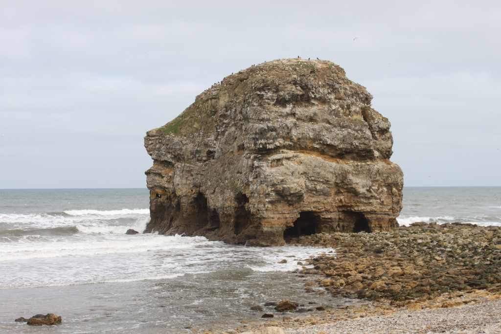 Large, weathered rock formation jutting out into a sea with gentle waves. The rock is light brown and tan, layered, and has several caves carved into its base. The top of the rock is relatively flat and sparsely vegetated, with a few birds visible. The overall scene is peaceful and somewhat austere, with a muted colour palette dominated by greys, browns, and tans. The sky is overcast.