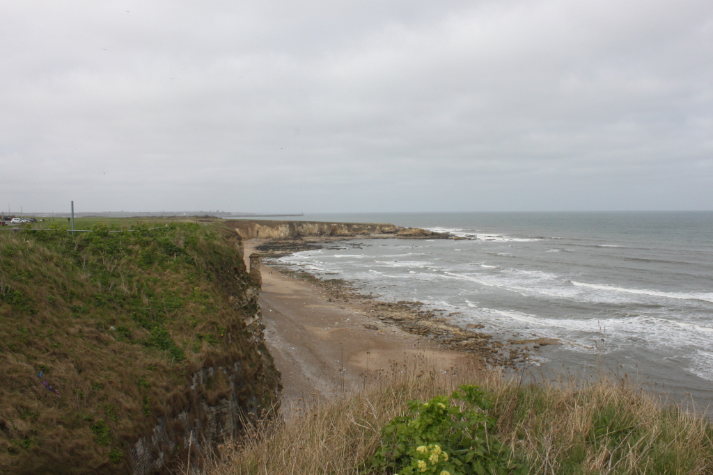 Coastal scene on an overcast day. A high cliff, covered in dry, brownish-green grasses, dominates the foreground. Below, a sandy beach stretches along a rocky shoreline, meeting a grey, somewhat choppy sea extending to the horizon. In the mid-ground, a section of lower cliffs or headland juts into the ocean. The overall mood is somewhat subdued and tranquil, reflecting the grey sky and muted colours.