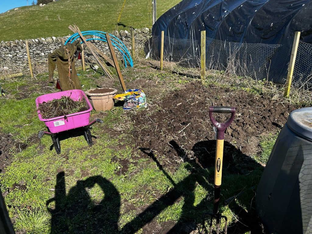 Garden plot being prepared for planting. A pink wheelbarrow filled with weeds or pulled-up plants sits near a partially tilled patch of earth. A shovel stands in the ground, and a scarecrow is visible in the background. A compost bin is partially visible in the lower right corner. The overall scene suggests springtime garden work.