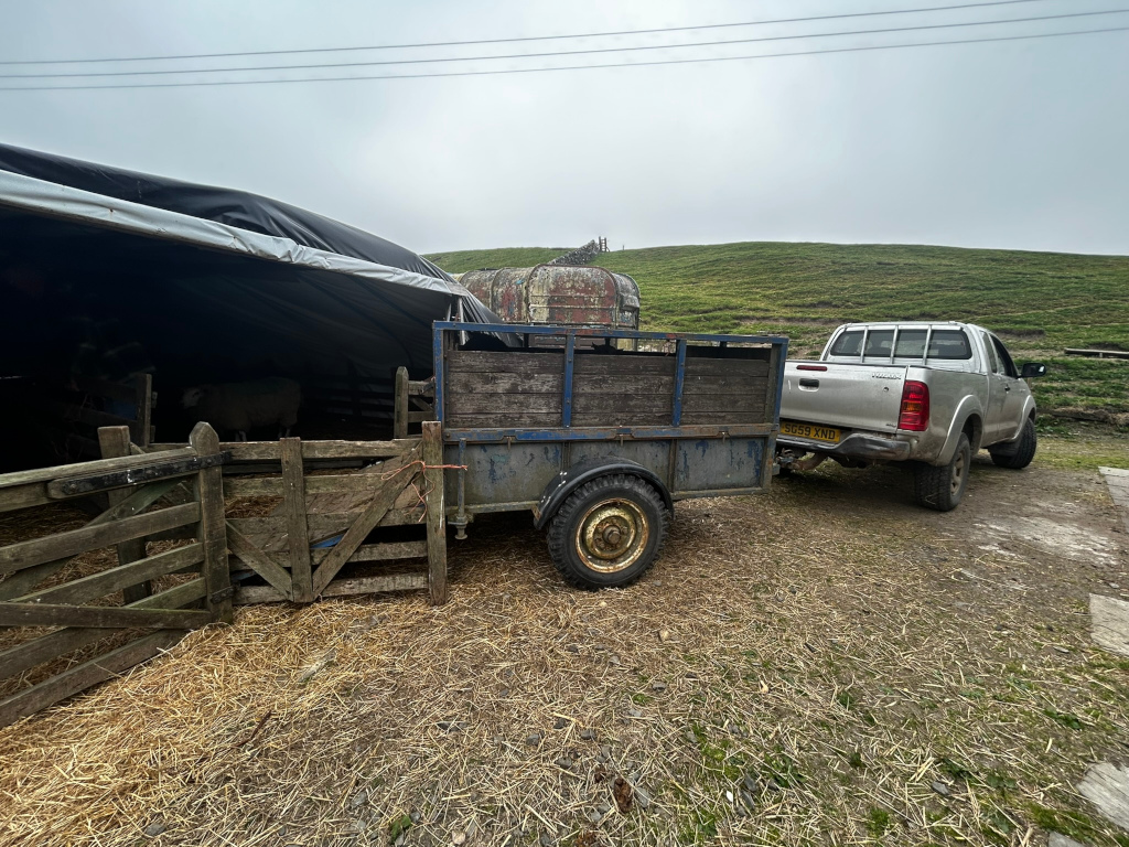 Silver Toyota Hilux pickup truck towing a small, weathered wooden trailer. The trailer appears to be used for transporting livestock, possibly sheep, as suggested by the presence of a sheep in a pen under a tarp in the background. The scene is set in a rural, possibly farming, environment.  A wooden gate and hay are visible on the ground. The overall mood is tranquil and suggestive of farm life.