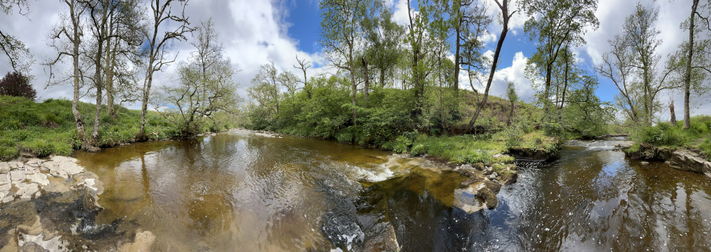 Panoramic view of a calm river flowing through a lush green landscape. The river is relatively shallow, with visible rocks and a light brown-coloured water. The banks are lined with various trees, some leafy and green, others bare with their branches reaching towards the sky. The sky is partially cloudy, with patches of blue visible. The overall atmosphere is serene and peaceful, suggesting a natural and untouched environment.
