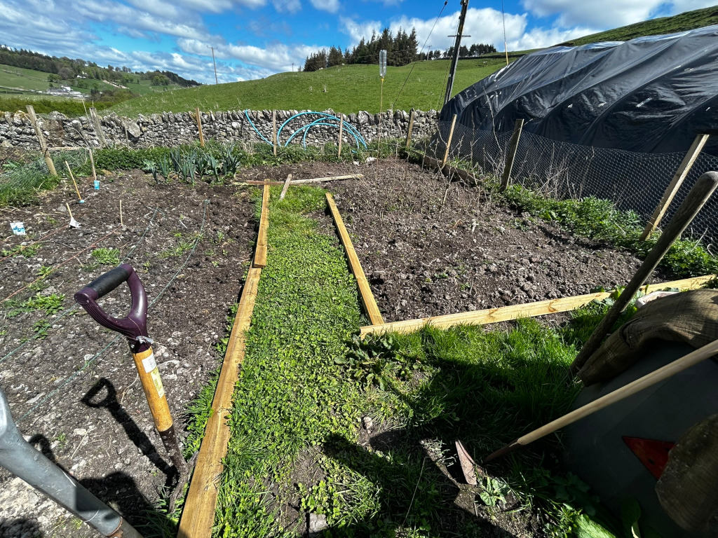 Newly constructed raised garden bed in a rural setting. Wooden planks form the perimeter of the bed, which is partially filled with a green ground cover. Gardening tools, including a spade and a trowel, are leaning nearby. The background shows a stone wall, a field, and a large black tarp, possibly a temporary shelter or cover for plants. The overall impression is one of preparation for planting in a small, possibly allotment, garden.