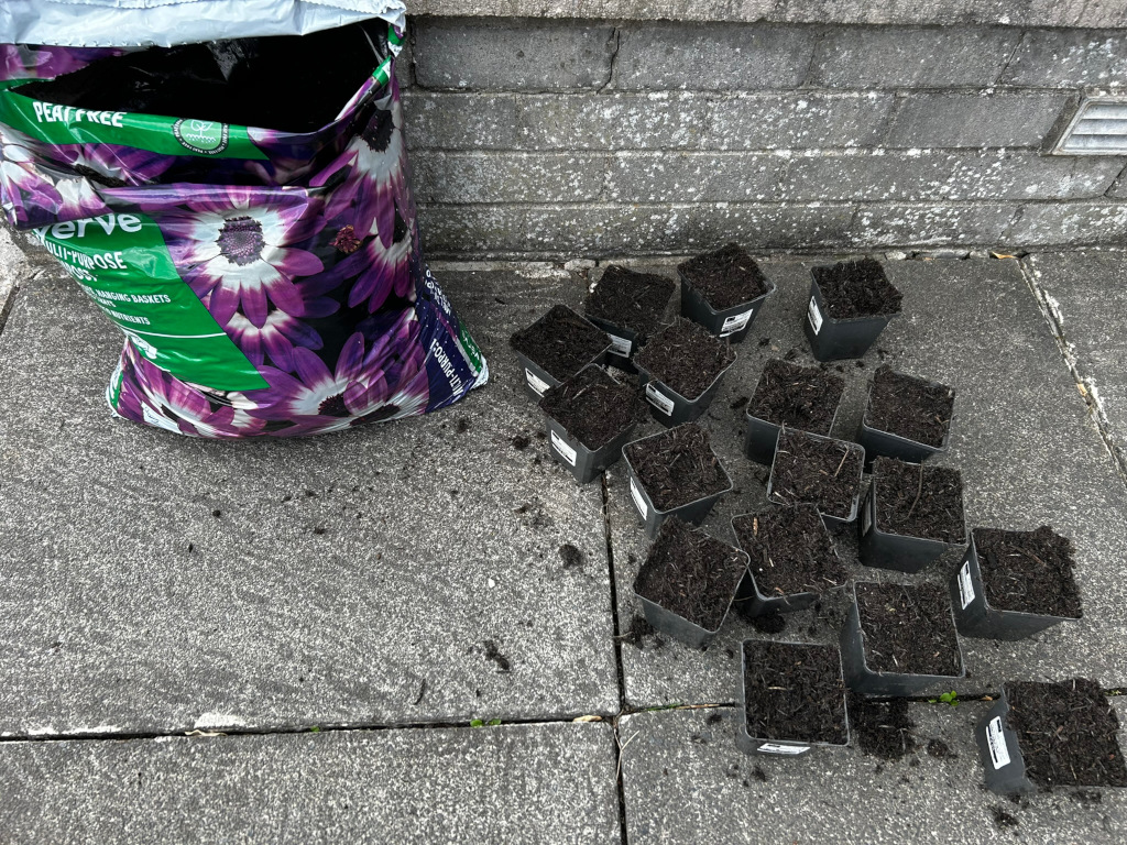 Large bag of Westland Multi-Purpose Compost leaning against a wall. Spilled around it are numerous small, black plant pots, each filled with dark potting soil. The scene appears to be outdoors on a paved surface, suggesting preparation for planting.