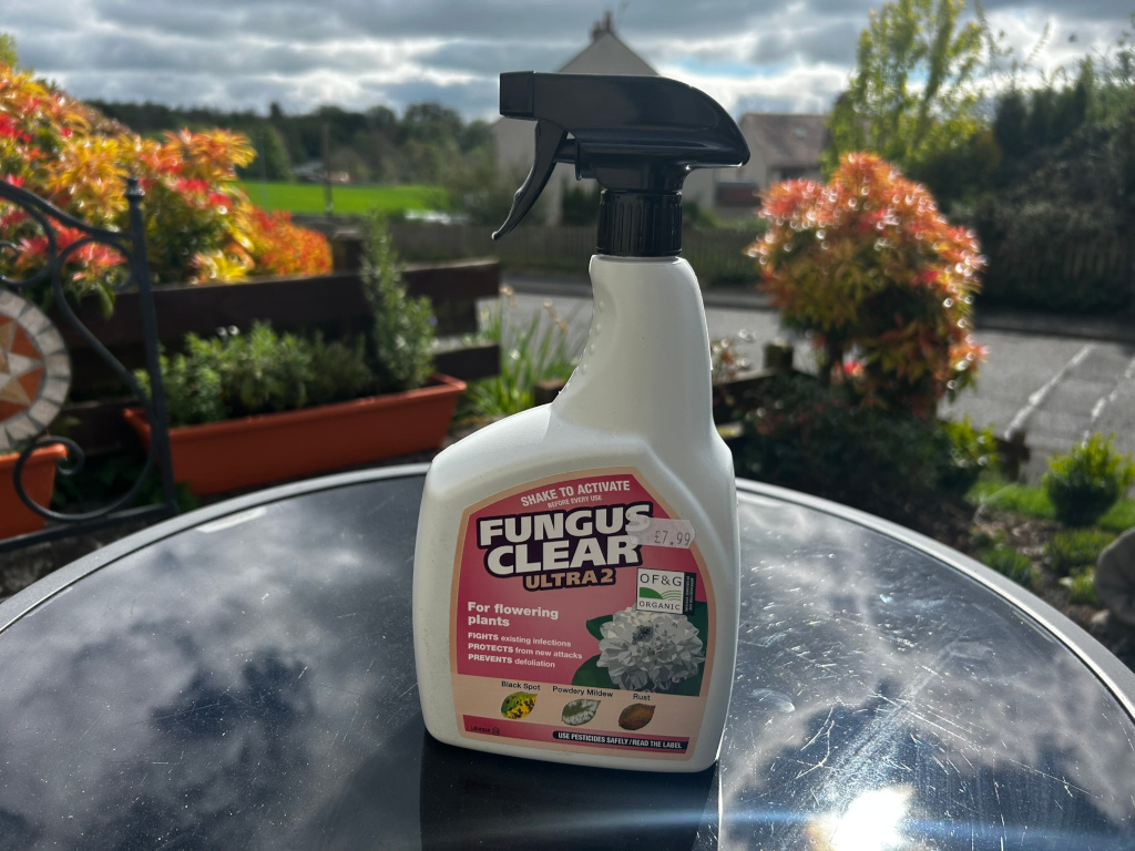 Bottle of Fungus Clear Ultra 2 fungicide for flowering plants, sitting on a dark-colored outdoor table. The background is a blurred but pleasant view of a garden and a residential area with houses visible in the distance under a partly sunny sky. The overall impression is one of garden care and maintenance. The product label highlights the fungicide's effectiveness against various plant diseases like Black Spot, Powdery Mildew, and Rust. Therefore, the image conveys a message related to plant health and care in a domestic setting.