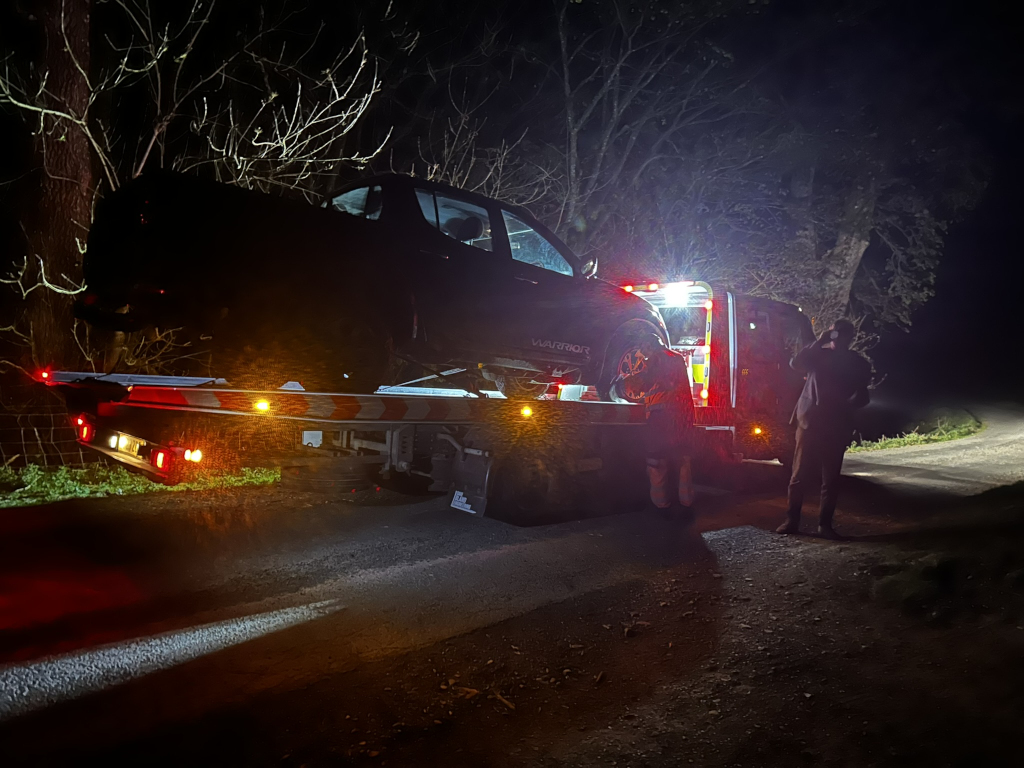 Close-up of a rose plant's leaves. The leaves exhibit discoloration and dark blotches, suggesting a fungal infection or disease. The leaves are a mix of dark reddish-brown and yellow-green hues, with the dark spots concentrated on some leaves more than others. The overall impression is one of plant distress.