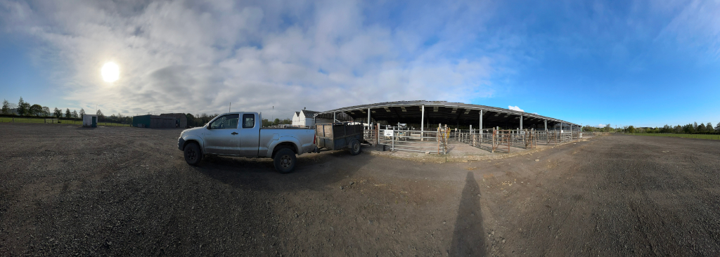 Panoramic view of a livestock handling facility. A silver pickup truck with a trailer is parked in a gravel lot in the foreground. Behind the truck is a large, open-sided metal structure, divided into pens, presumably for holding cattle. The sky is mostly sunny with some clouds. The overall impression is of a rural agricultural setting.
