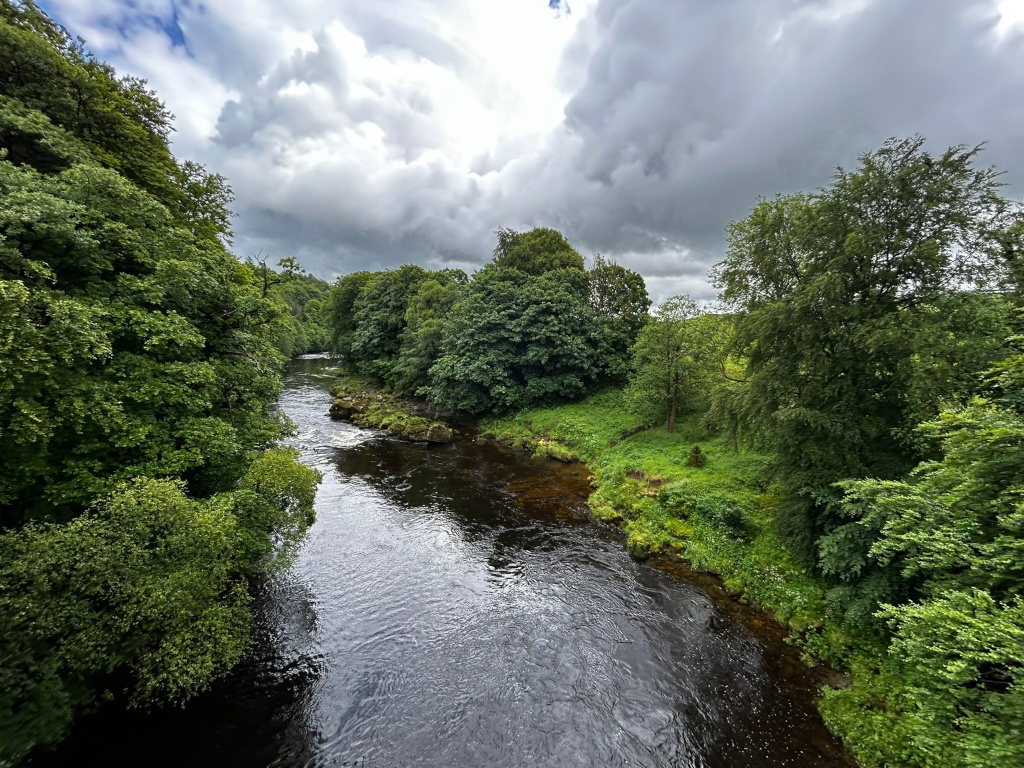High-angle view of a river flowing through a lush green landscape under a cloudy sky. The river is dark and calm, and its banks are lined with dense vegetation. The trees are full and green, suggesting it might be summertime.