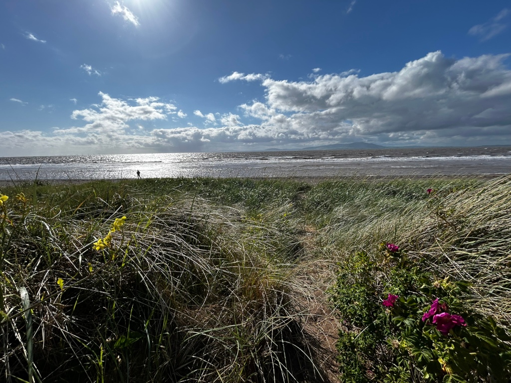 Path through beach grass leading to a wide, sandy beach and a calm sea under a partly cloudy sky. A single, distant figure is visible on the beach. Yellow wildflowers are in the foreground on the left, and pink flowers are on the right.