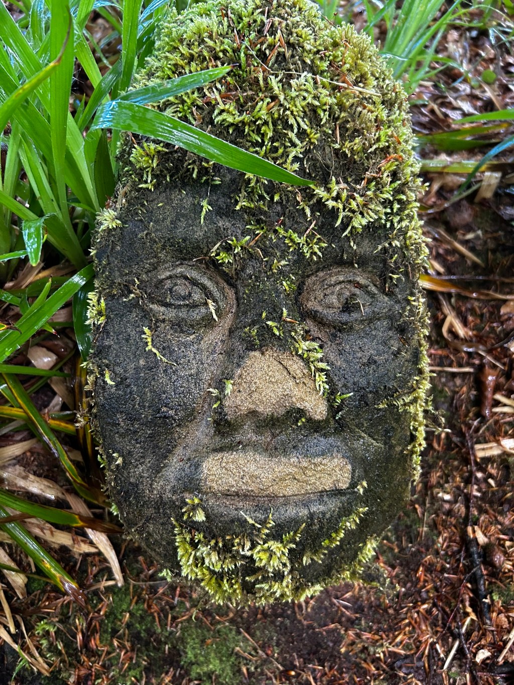 Moss-covered stone carving of a face. The face is somewhat weathered and appears serene, with simple features. The moss adds a natural, almost mystical quality to the sculpture. It's nestled within a bed of lush green foliage.