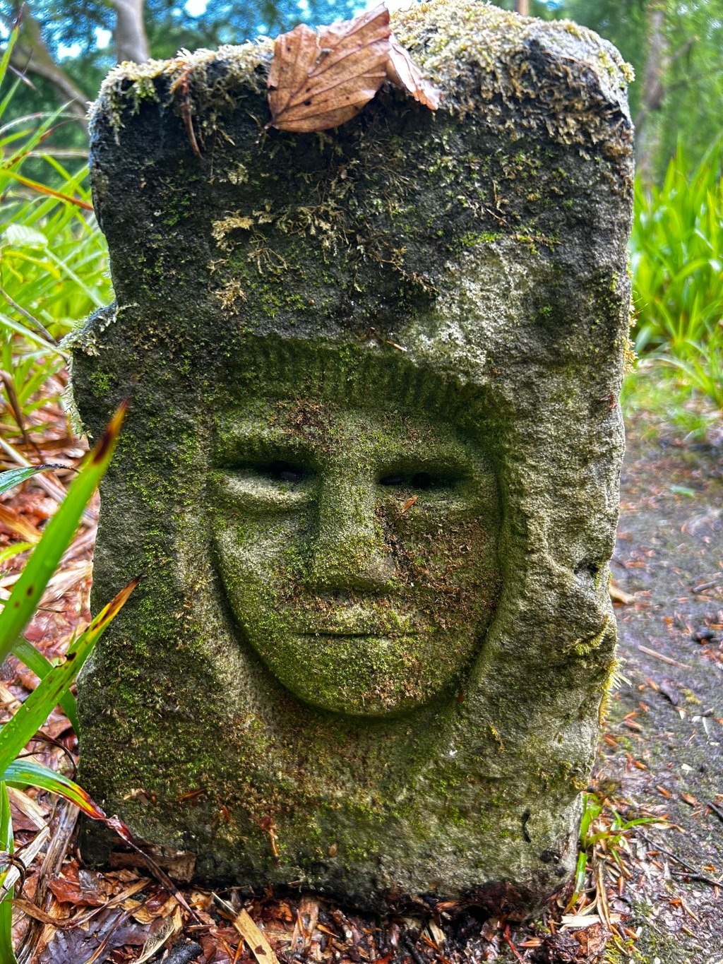 Moss-covered stone carving of a face.  The carving is weathered and appears old, possibly situated outdoors in a garden setting. The face is somewhat stoic or melancholic in expression, with deep-set eyes. The stone itself is rough-textured, and the moss adds to the overall sense of age and integration with nature. A dried leaf rests on the top of the stone.