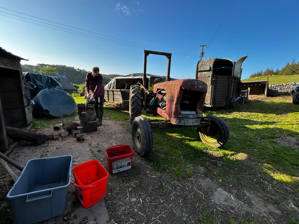 Charlie chopping wood with a chainsaw next to an old, rusty red tractor. There are various farm implements and containers nearby, suggesting a rural, farm setting. The overall mood is one of work and rustic simplicity. The sunlit scene highlights the contrast between the man's activity and the weathered equipment, conveying a sense of everyday life in a rural environment.