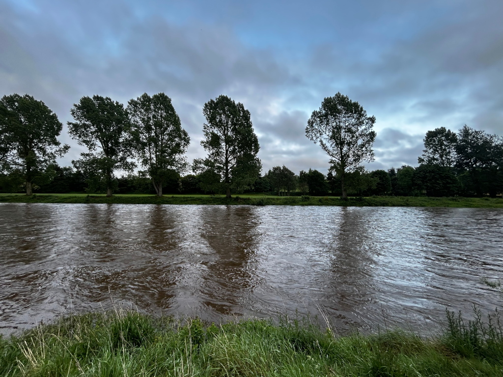 Tranquil river scene under a cloudy sky. Four tall, slender trees stand in a row along the riverbank, their reflections slightly visible in the dark, somewhat muddy water. The far bank is lined with lush greenery, continuing the peaceful, natural mood.