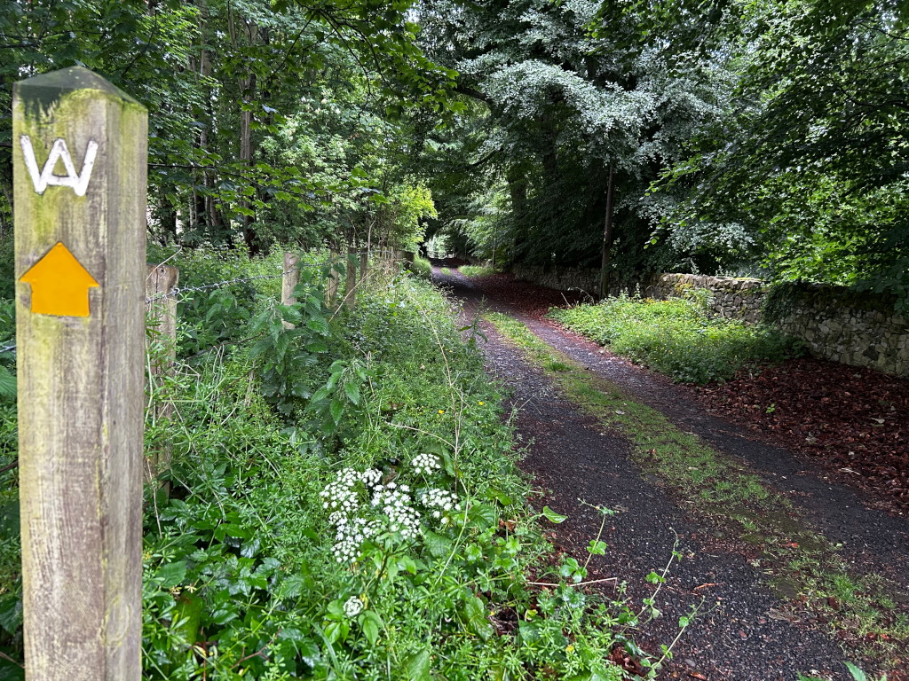 Gravel path winding through a lush green forest. A wooden post with a yellow arrow and the letters WA painted on it marks the trail. The path is flanked by dense vegetation, including flowering plants, and a low stone wall is visible on the right. The overall impression is one of a quiet, secluded woodland track.