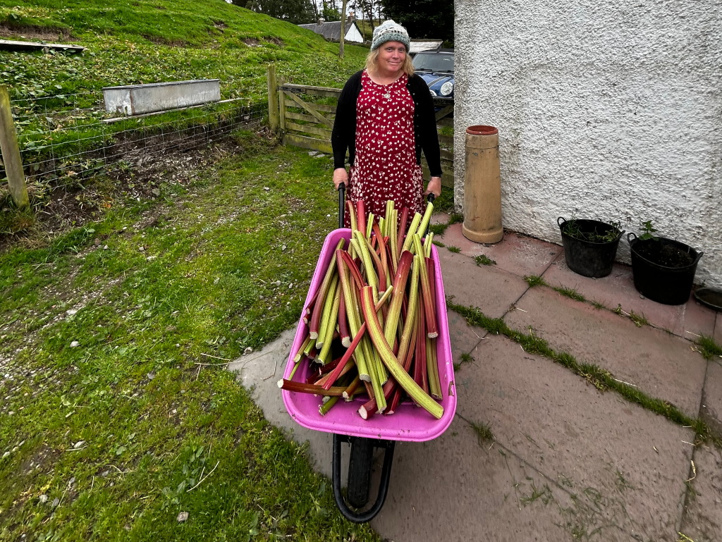 Leonie standing behind a pink wheelbarrow filled to the brim with freshly harvested rhubarb stalks. She's wearing a red and white patterned dress and a knitted hat. The setting appears to be a rural area, possibly a garden or farm, with a stone wall and some greenery in the background. The overall impression is one of a successful harvest and simple rural life.