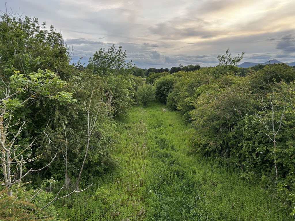 Verdant, overgrown path or ditch cutting through a dense thicket of bushes and trees. The path is densely vegetated, suggesting a lack of recent maintenance or use. The background reveals a partly cloudy sky and distant hills under a pale, possibly sunset sky. The overall feel is one of untamed nature.