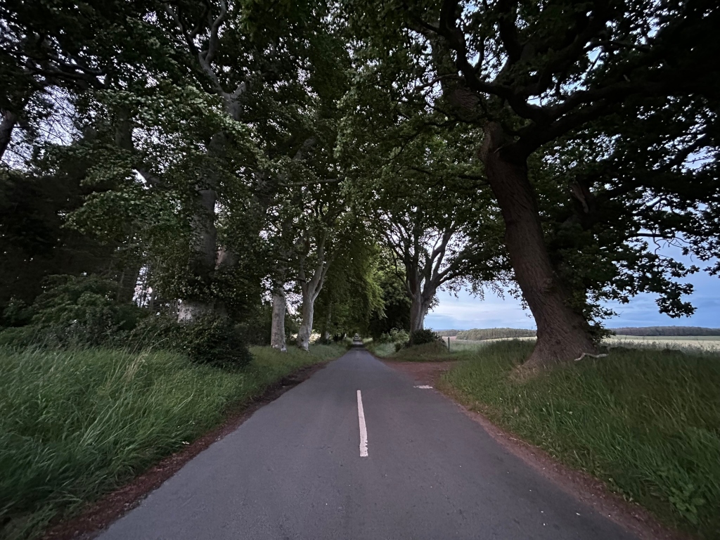 Blue Mini Cooper convertible parked on a country road next to Charlie standing in a field. A signpost indicating Farmington is visible in the background. The overall setting appears to be rural, with lush greenery and a partly cloudy sky. The scene is tranquil and evokes a sense of quiet countryside life.