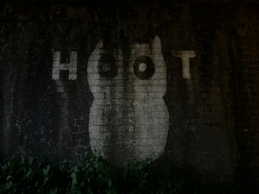 Dark, weathered brick wall with a large, faded white painting of an owl on it. The word HOOT is painted in white letters above the owl, suggesting a playful or whimsical design. The overall mood is dark and somewhat mysterious, enhanced by the low light and the aged condition of the wall. The contrast between the dark brick and the white paint draws attention to the owl image. The presence of greenery at the bottom suggests an outdoor location.