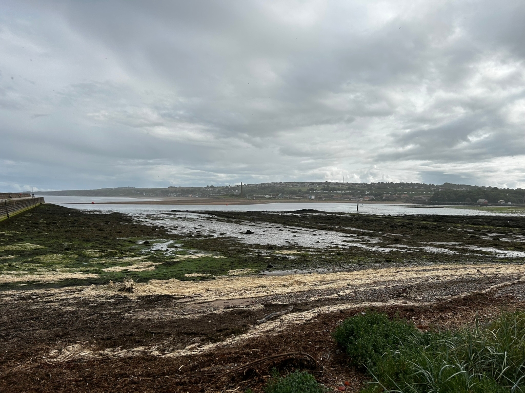 Coastal scene at low tide. The foreground is dominated by exposed mudflats and seaweed, interspersed with patches of sand. In the midground, a calm body of water stretches to the horizon, where a line of buildings or a small town is visible under a cloudy sky. A stone wall or barrier is partially visible in the lower left corner.