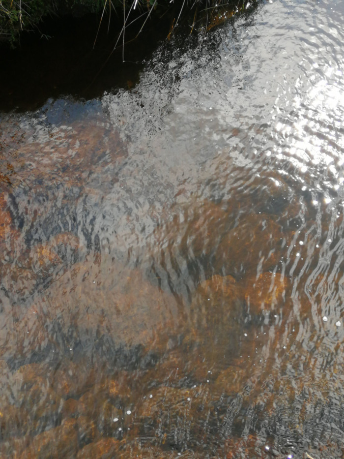 Close-up view of shallow, clear water flowing over a bed of dark brown and reddish-brown rocks. The water is relatively calm, with gentle ripples visible on the surface. The rocks beneath the water are clearly visible, and their texture and color are prominent features of the image. The upper left corner includes a hint of dark green vegetation bordering the water.