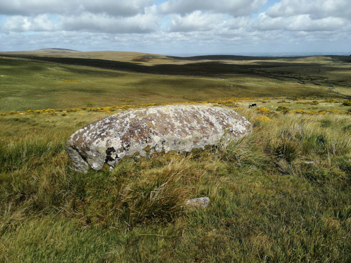 Large, oblong, lichen-covered rock lying in a field of tall grass. The background is a vast, rolling landscape of green hills under a partly cloudy sky. A single dark-coloured animal, possibly a cow or pony, is visible in the distance.