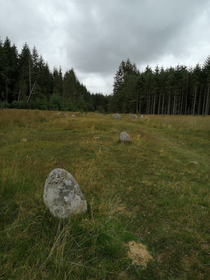 Grassy field with scattered large stones, possibly remnants of a stone circle or similar ancient structure. The field is bordered by a dark coniferous forest under a cloudy sky. The overall atmosphere is serene and somewhat mysterious.