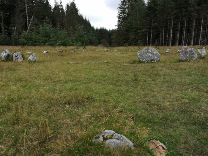 Grassy field with a ring of stones, possibly a stone circle or a remnant of a prehistoric structure. The stones are irregularly shaped and sized, and scattered in an arc across the field. A dark coniferous forest forms a backdrop to the scene.