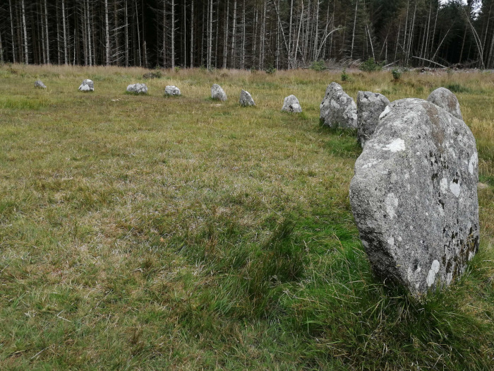 Partial view of a stone circle situated in a grassy field, with a forest of dark-greenish trees forming a backdrop. The stones are various sizes and shapes, appearing weathered and grey. The grassy field is uneven in tone and texture.