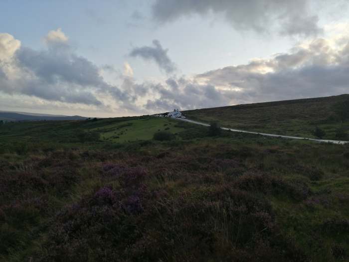 Tranquil landscape under a cloudy sky. A winding road leads up a gently sloping hill to a small cluster of buildings. The foreground is covered with low-lying vegetation, possibly heather, in shades of green and purple.