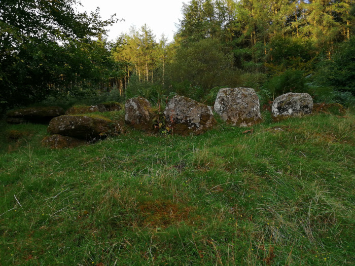 Grassy field with several large, moss-covered stones arranged in a row. They appear to be part of a stone structure, possibly an ancient ruin or monument, nestled at the edge of a wooded area.