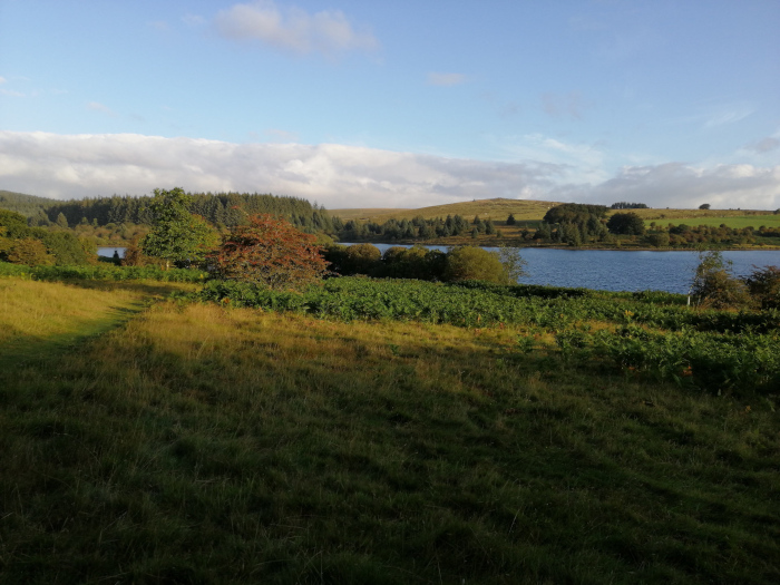 Tranquil landscape featuring a calm lake nestled amidst rolling hills. The foreground is dominated by a field of tall grass, while the midground displays various shrubs and trees, some showing hints of autumnal color. In the background, a line of dark green forest borders the lake, which is surrounded by more gently sloping hills. The sky is a clear, pale blue with scattered fluffy clouds, suggesting a pleasant, possibly late summer or early autumn day.