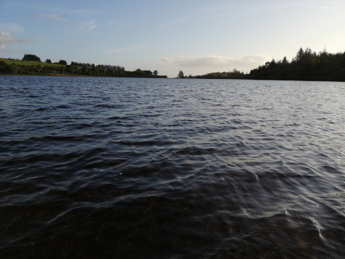 Body of dark, rippling water extending to a tree-lined shoreline under a partly cloudy sky. The water takes up the majority of the frame. The far shore is relatively flat with a line of dark green trees.