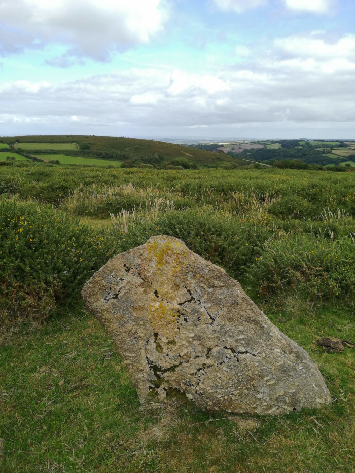 Large, weathered, light-grey boulder sitting in a field of low-lying green vegetation. Patches of yellow lichen are visible on the stone's surface. In the background, there's a rolling landscape of green hills and fields under a partly cloudy sky. The overall impression is one of a tranquil, rural scene.