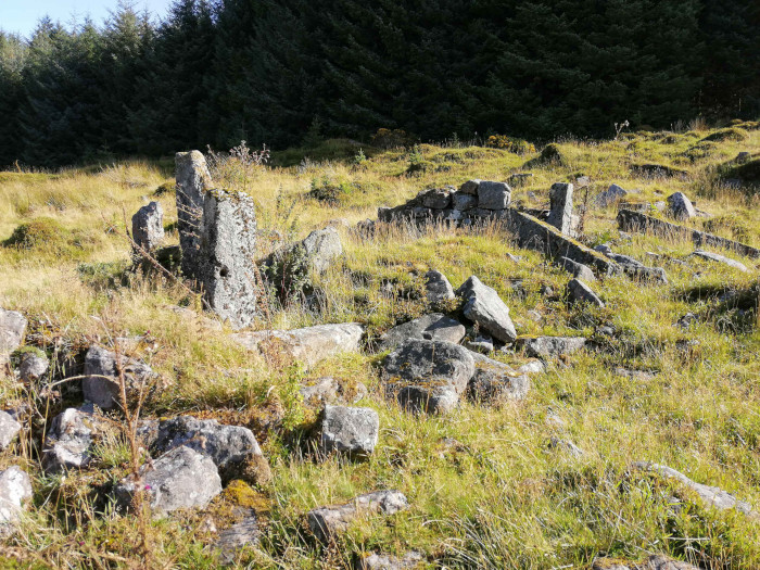 Ruins of a stone structure, possibly a building or a wall, overgrown with grass and moss. The stones are scattered and fragmented, suggesting significant age and decay. The background features a dark, dense forest.