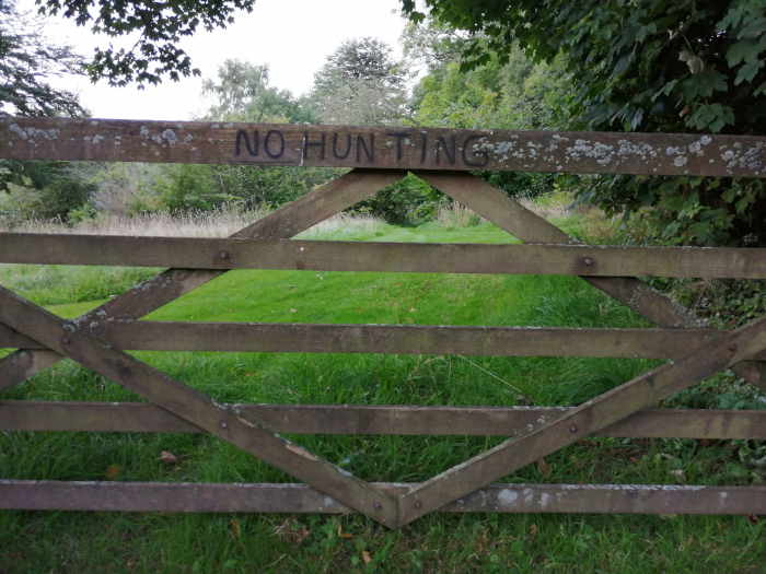 Rustic wooden gate, set against a backdrop of verdant pasture. The gate is constructed with horizontal beams criss-crossed by diagonal supports. The words NO HUNTING are painted onto the top horizontal beam.