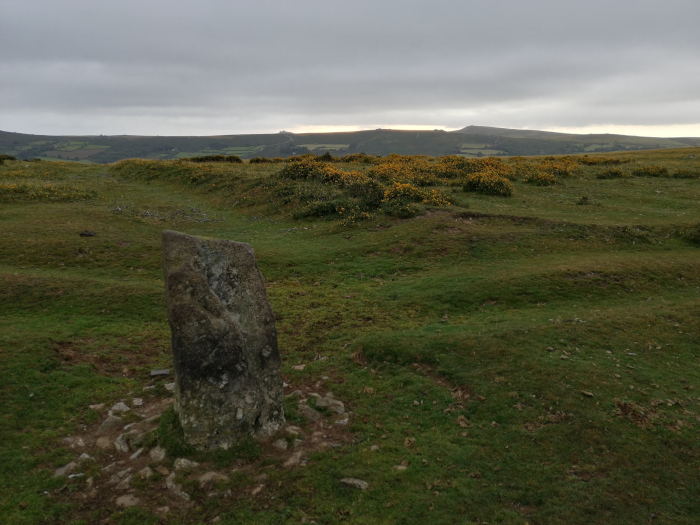 Solitary, weathered grey stone standing upright in a grassy field. Patches of yellow flowering plants are visible in the mid-ground. Low rolling hills and a cloudy sky form the background.
