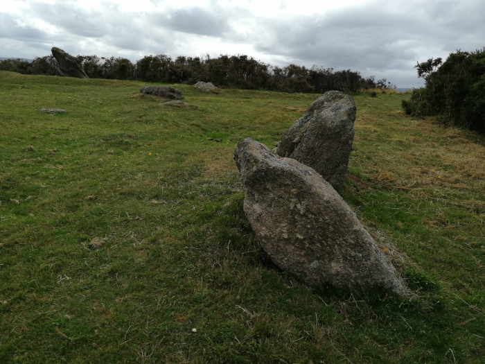 Grassy field with several large, grey rocks scattered across it. The rocks appear to be naturally occurring and not deliberately placed. The setting suggests a rural or possibly prehistoric landscape. The overall mood is peaceful and somewhat austere.
