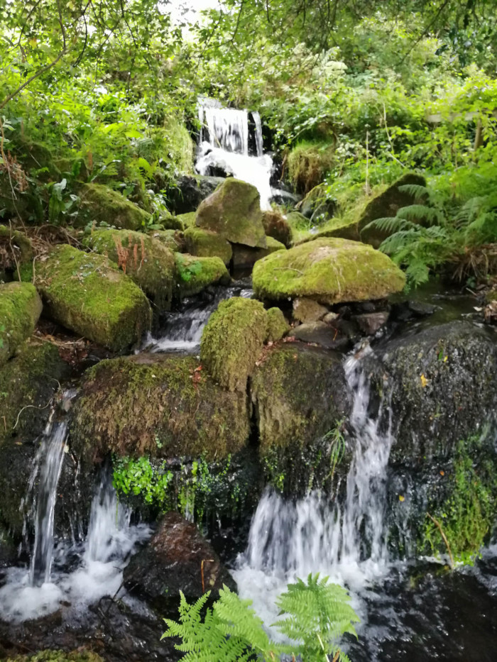 Small waterfall cascading over moss-covered rocks in a lush, green forest. The water flows over several tiers of rocks, creating a series of mini-waterfalls.