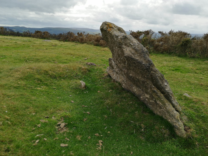 Large, grey, weathered rock formation lying on its side in a grassy field. The rock is irregularly shaped, with a textured surface and appears to be of natural origin. The grass is short and green, and there is a low scrubby bush in the background. The sky is overcast. The overall impression is one of a rural, possibly ancient, landscape.