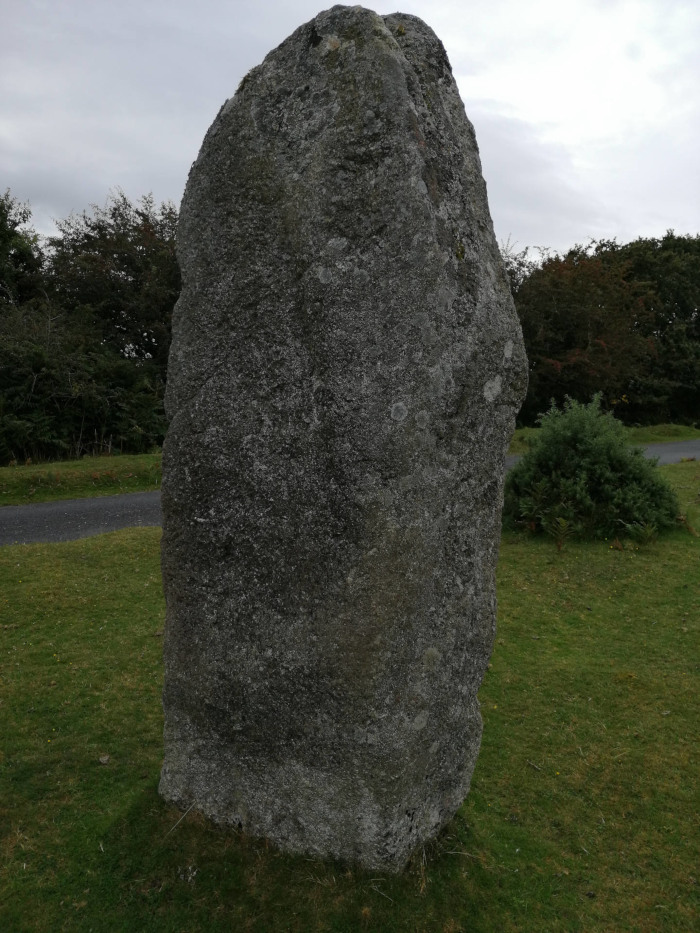 Large, grey, weathered stone standing upright in a grassy field. It appears to be a standing stone or monolith, possibly of ancient origin. The stone is irregular in shape, taller than it is wide, and shows signs of natural erosion. The background includes green grass, low shrubs, and a line of trees under a cloudy sky.
