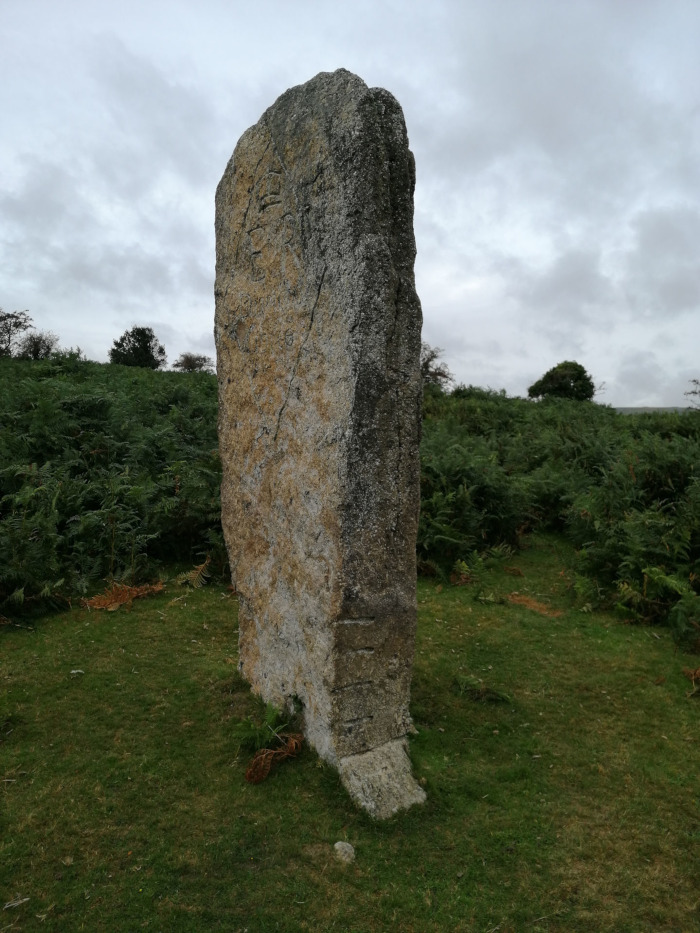Tall, slender standing stone, seemingly weathered and ancient, set in a grassy field. The stone is light beige and grey, with markings that appear to be either natural or possibly ancient carvings. The background shows low-lying vegetation, including ferns, under a cloudy sky.