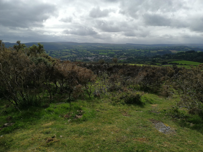 Panoramic view of a verdant valley stretching into the distance under a cloudy sky. The foreground consists of scrubby, low-lying vegetation, which appears somewhat dry or withered in patches. Beyond this immediate foreground, a rolling landscape unfolds, showing fields and what appears to be a small town or village nestled in the valley. The overall impression is one of peaceful, rural scenery, possibly in a hilly or mountainous region. The muted colours and cloudy sky contribute to a somewhat sombre or contemplative mood.