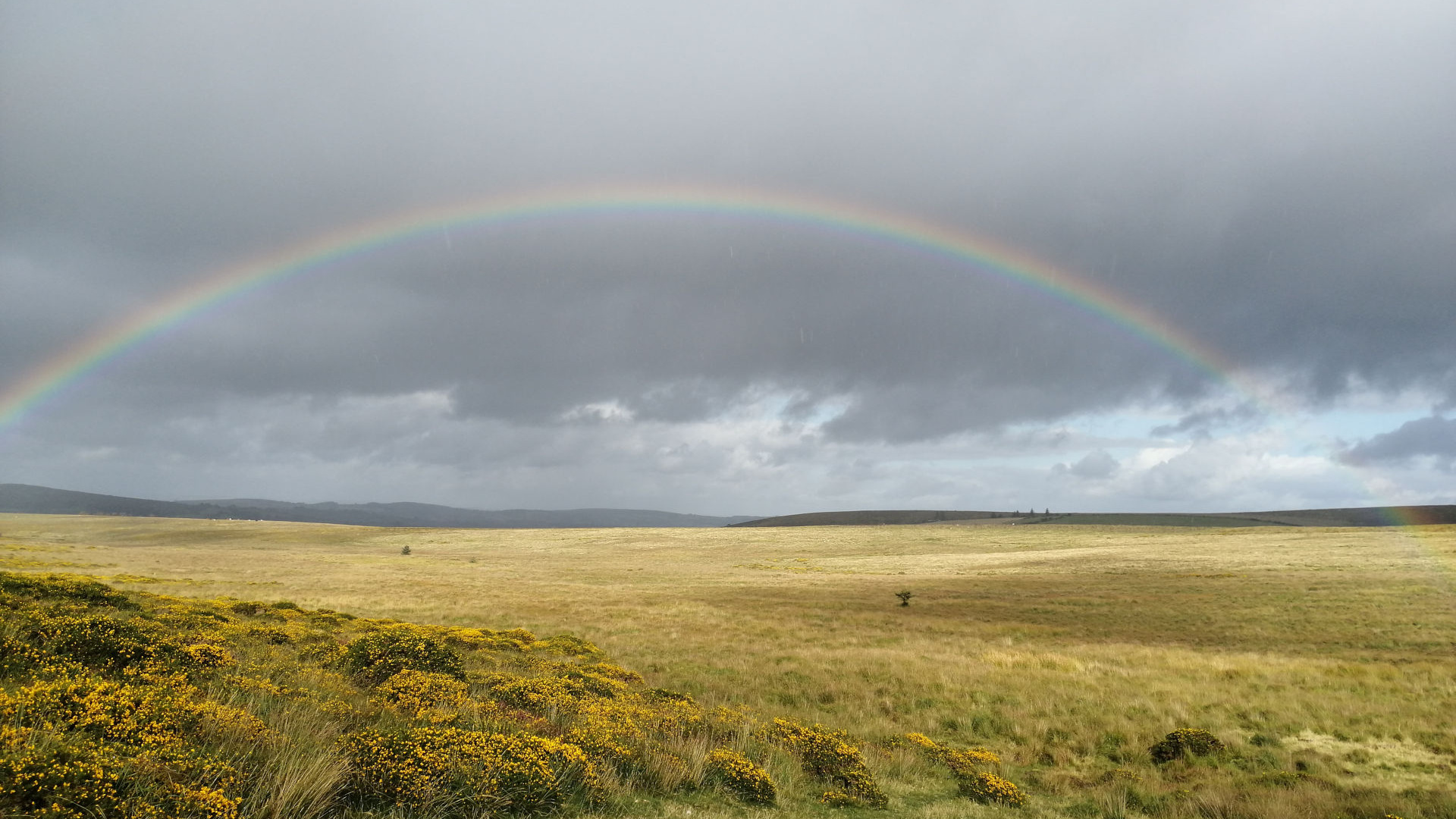 Vibrant rainbow arcing across a vast, flat landscape under a dramatic, cloudy sky. The foreground features a field of yellow wildflowers, contrasting with the muted tones of the grassy plains extending to the horizon. The overall scene evokes a feeling of serenity and the beauty of nature after a storm.