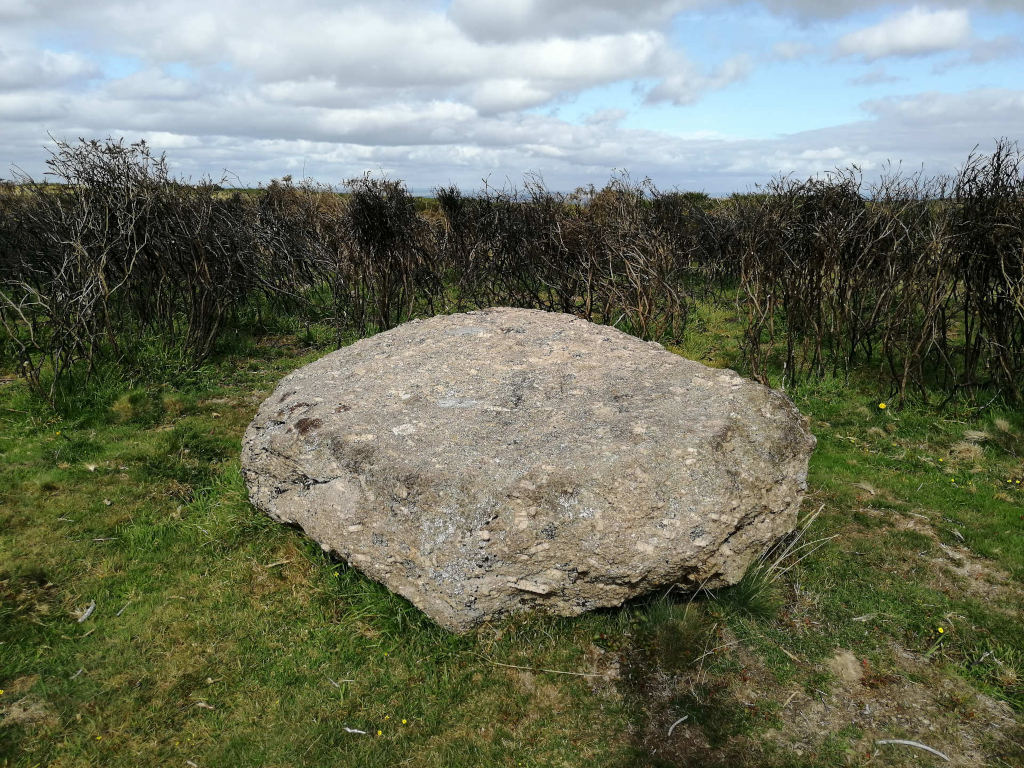 Large, light grey boulder resting in a grassy field. The grass is short, and the boulder is roughly oval in shape. Behind the boulder is a line of low, scrubby bushes, appearing dry or dead, extending across the background. The sky is partly cloudy, with blue patches visible.